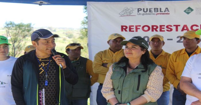 Reforestará gobierno estatal zona Izta-Popo con más de 440 mil plantas