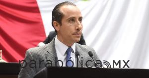 Plantea Mario Riestra castigar hasta con 10 años de cárcel por maltrato animal y zoofilia