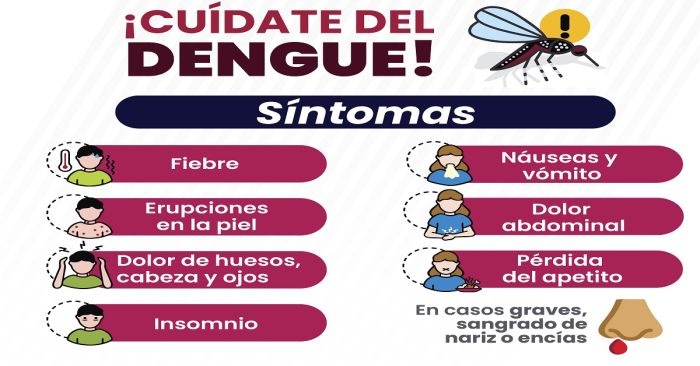 Descarta Salud defunciones por dengue en la entidad