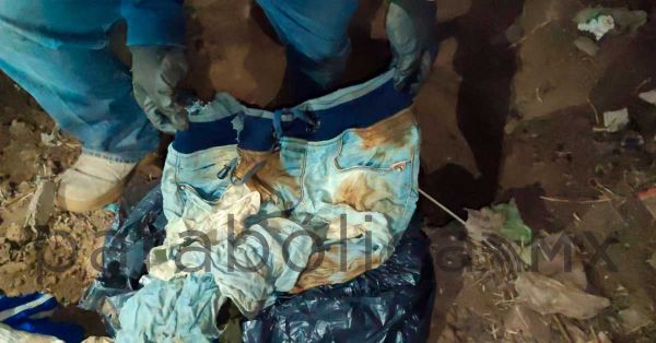 Hallan fosa clandestina en Irapuato con al menos 7 cuerpos