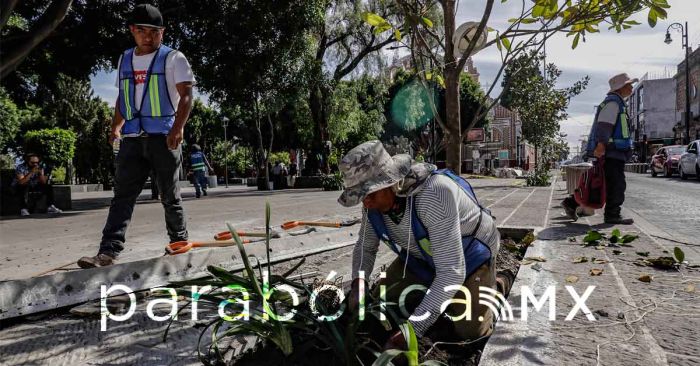 Tendrá la 16 de Septiembre bancas, sombra y árboles: Eduardo Rivera