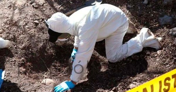 Hallan fosa clandestina con 7 cadáveres en Michoacán