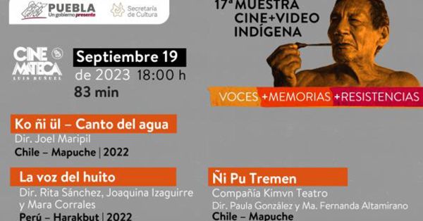 Exhibirán “17º Muestra Cine+Video Indígena”