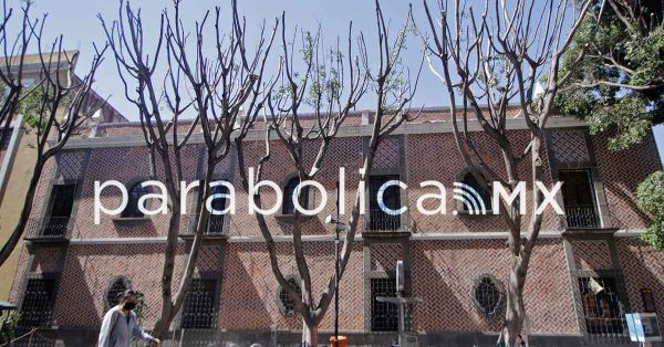 Se castigar&aacute; la poda excesiva de Plaza de la Democracia: Ad&aacute;n Dom&iacute;nguez