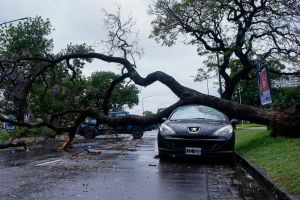 Muere mujer al caer rama de árbol en Buenos Aires, Argentina