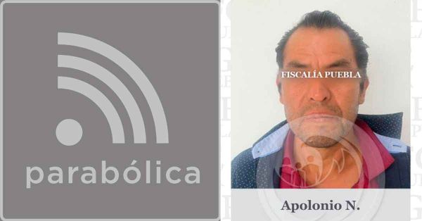Procesan a sujeto por maltratar a una mula en San Andr&eacute;s Cholula