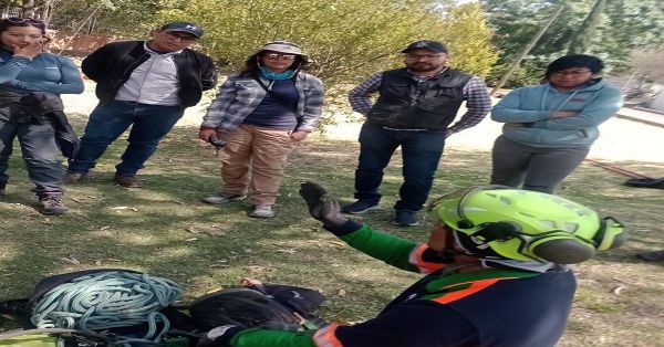 Ofrece Secretaría de Medio Ambiente curso gratuito para dictaminar árboles