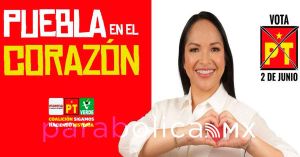 Quiero trabajar por los más necesitados: Liz Sánchez