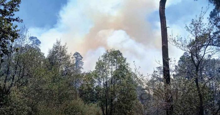 Liquidan al 80% incendio en Lafragua