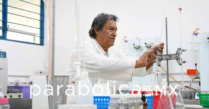 Diseñan investigadores BUAP método analítico para medir glifosato en miel