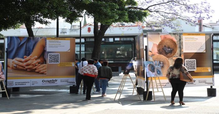 Habrá muestra fotográfica “Sonríele a la vida”