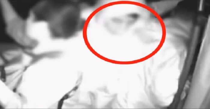 Detienen a Arturo N. por asalto en transporte sobre la M&eacute;xico-Puebla