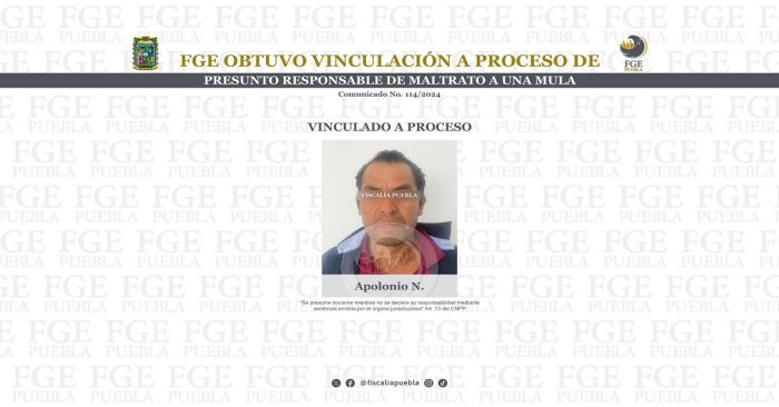 Vinculan a proceso de Apolonio N. por delitos de crueldad animal