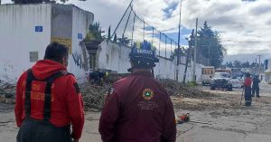 Atiende PC Estatal caída de árbol en Xonacatepec
