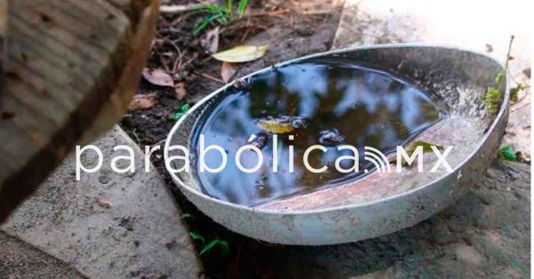 Reporta Salud 20 personas hospitalizadas por dengue