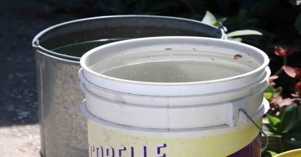 Son cinco los municipios que concentran 59.1% de casos de dengue en Puebla