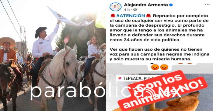 Reprueban Armenta y Morena uso de animales para la guerra sucia