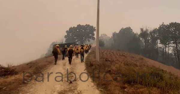 Consumidas m&aacute;s de 9 mil hect&aacute;reas por 274 incendios forestales