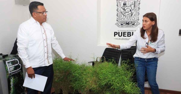 Promueve Congreso zona tur&iacute;stica de "El Bambusal"
