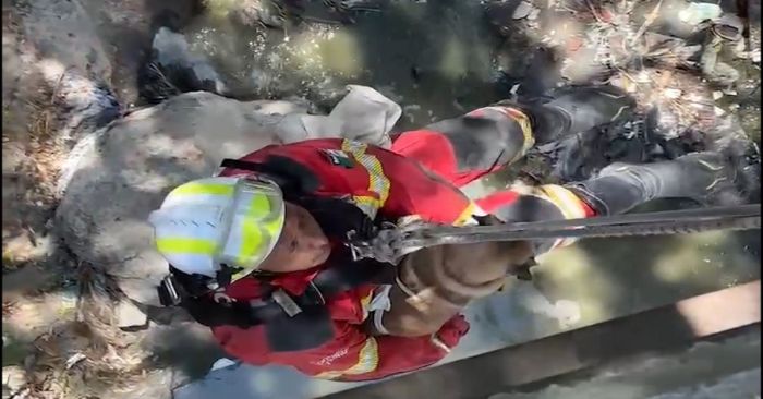 Rescata PC a perrito que cayó a un barranco de 30 metros de profundidad