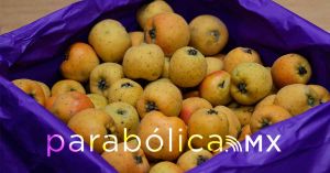 Invitan a la Feria del Tejocote y Festival de Nochebuena en Huejotzingo