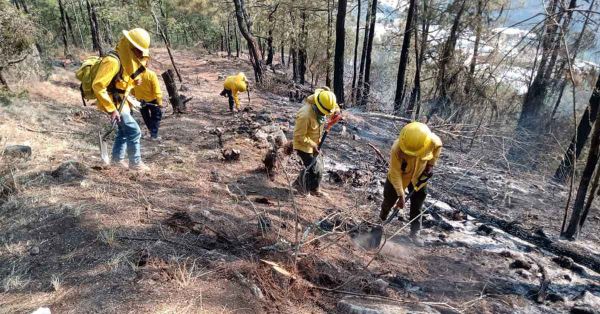 Liquidan al 100% incendio forestal de Aquixtla