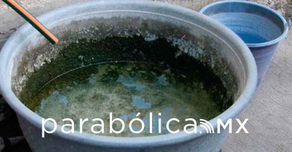 Suma Puebla 2 mil 701 casos positivos acumulados de dengue en lo que va del a&ntilde;o