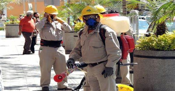 Sin contagios ni defunciones recientes por dengue en Puebla: Salud