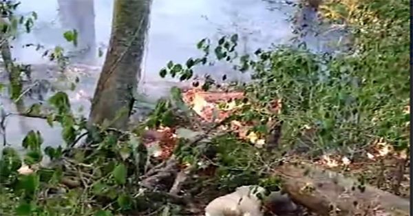 Reportan otro incendio forestal en la Sierra Negra, ahora en Tlacotepec