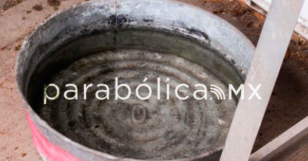 Puebla, sin reporte de defunciones recientes por dengue: Salud