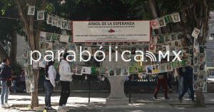 Coloca el Colectivo Voz de los Desaparecidos el &quot;Árbol de la Esperanza”