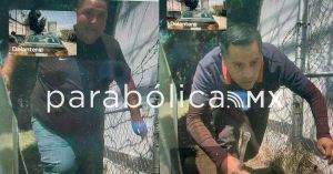 Captan a ladrones de autopartes que operan en Ciudad Judicial