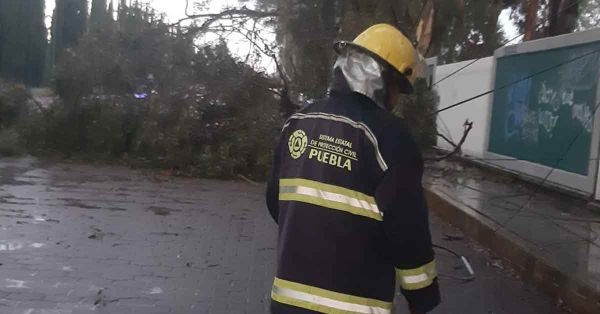 Deja Onda Tropical 8 deslizamiento de tierra y ca&iacute;da de &aacute;rboles en Puebla