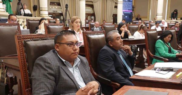 Llaman diputados evitar el tr&aacute;fico de especies de magueyes silvestres