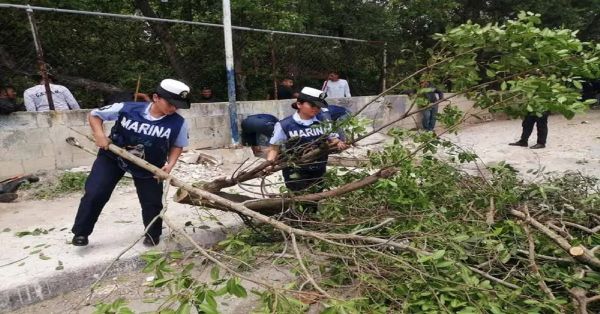 Continúa Plan Marina en Yucatán tras el paso de 'Beryl'
