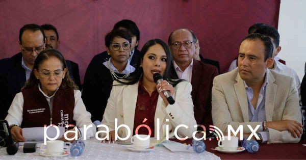 Arropan morenistas&nbsp;a Tonantzin Fern&aacute;ndez