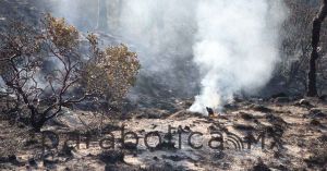 Liquidan al 70% incendio forestal en Libres