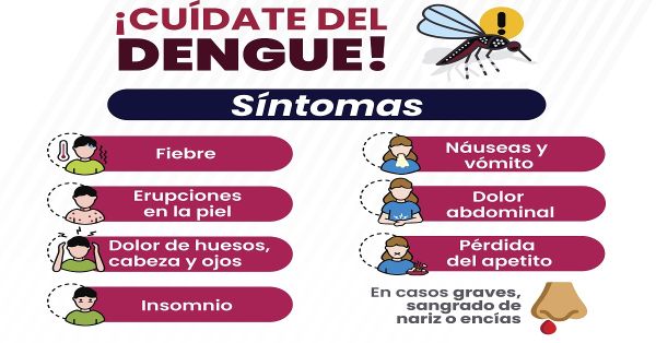 Repuntan casos de dengue en municipios de Izúcar y Tehuacán