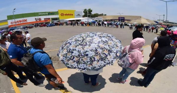 Reporta IMSS ca&iacute;da del empleo en el mes de mayo