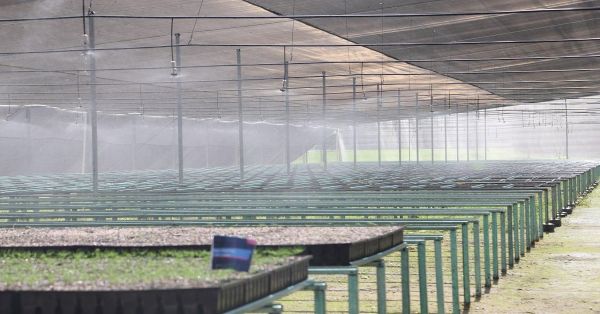 Inauguran 2ª etapa del Parque del Ajolote