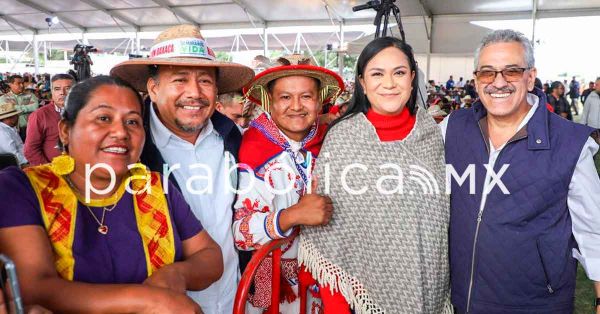 Alcanza Sembrando Vida m&aacute;s de mil 200 millones de &aacute;rboles en un mill&oacute;n de hect&aacute;reas: Bienestar