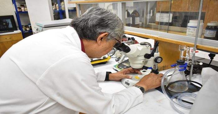 Sintetizan en el ICUAP compuestos para tratar diabetes y c&aacute;ncer