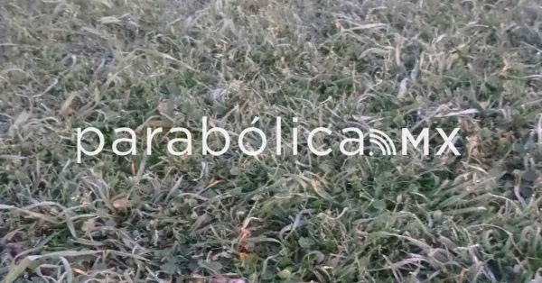 Padece municipio poblano temperaturas bajo cero