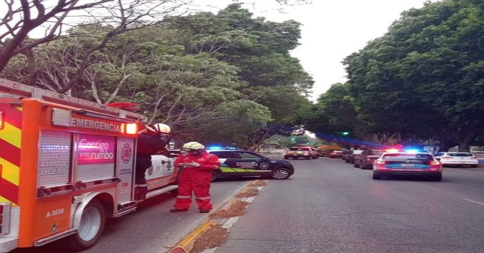 Se cae un árbol en la capital poblana debido a los fuertes vientos