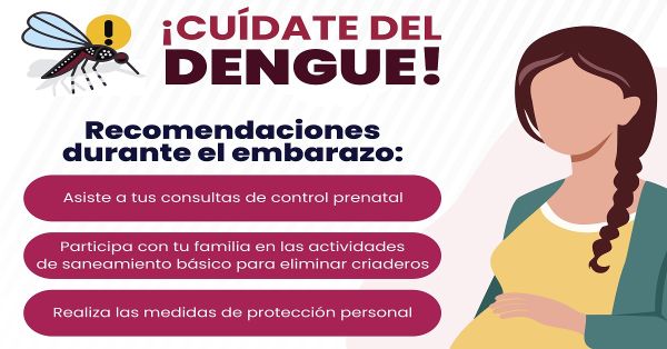 Registran 51 municipios de Puebla casos de dengue: Salud