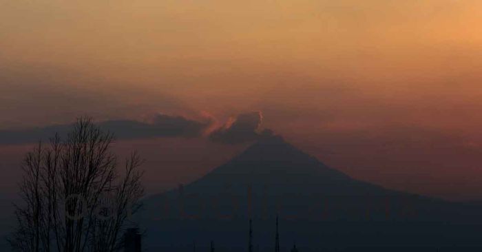 Rompe Puebla brecha sin atenci&oacute;n por rinitis