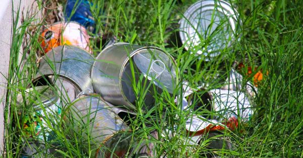 Distribuidos casos de dengue en 57 municipios