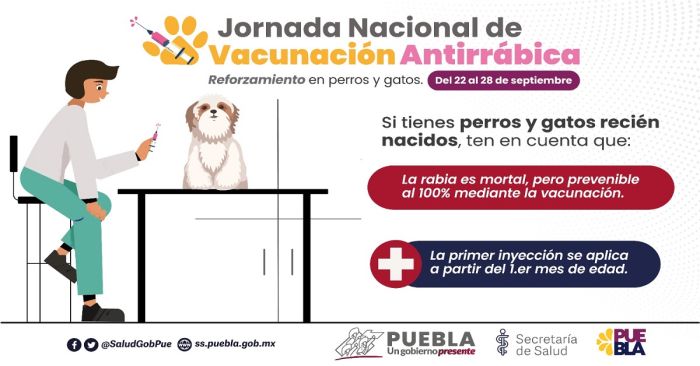 Anuncia jornada de vacunaci&oacute;n antirr&aacute;bica para perros y gatos