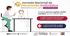 Anuncia jornada de vacunación antirrábica para perros y gatos