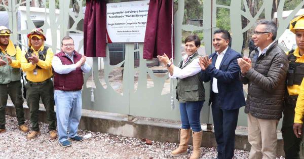 Producirá vivero “Flor del Bosque” 200 mil árboles anuales